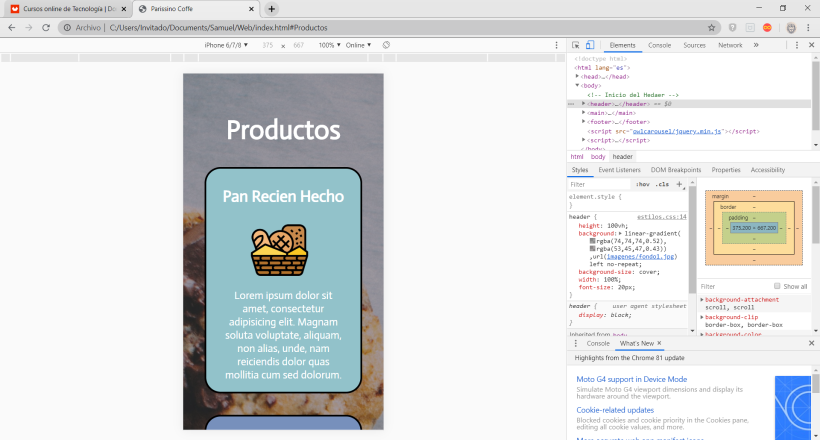 Mi Proyecto del curso: Introducción al Desarrollo Web Responsive con HTML y CSS 8