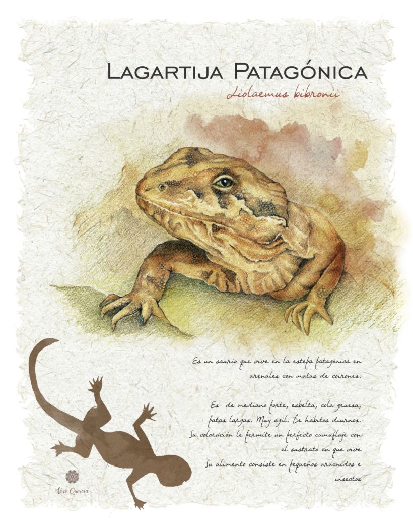Mi Proyecto del curso: Ilustración de un diario naturalista de Patagonia 10