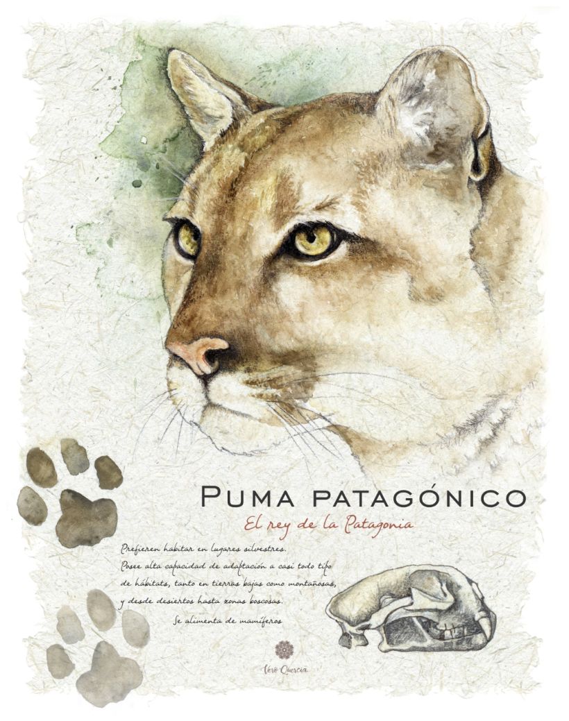Mi Proyecto del curso: Ilustración de un diario naturalista de Patagonia 13