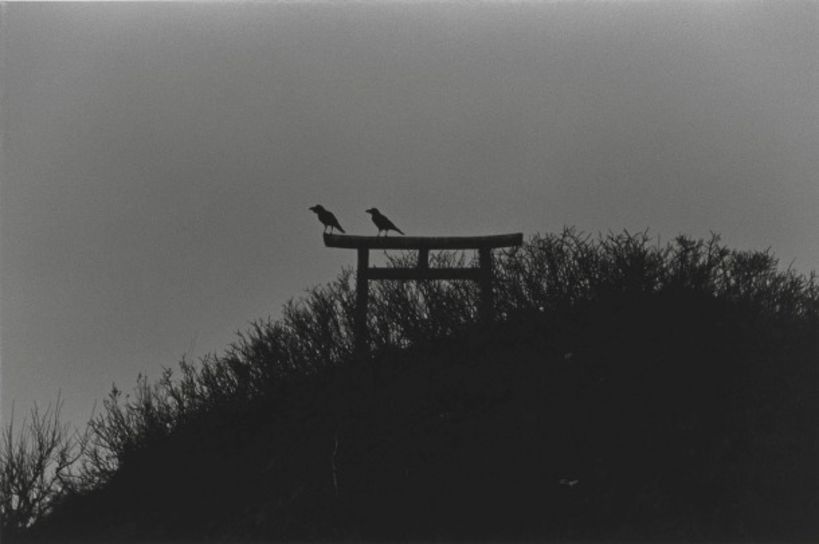 Fukase, M., “Karasu - La soledad de los cuervos”