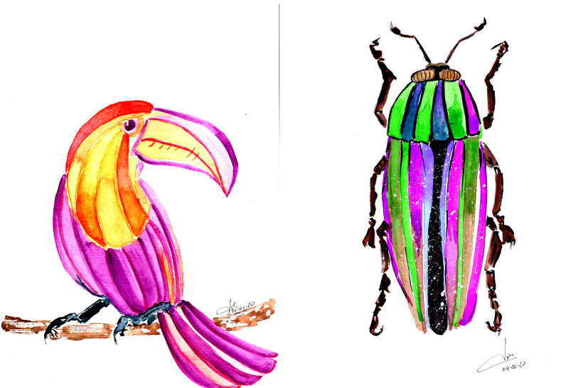 Tucán y escarabajo
