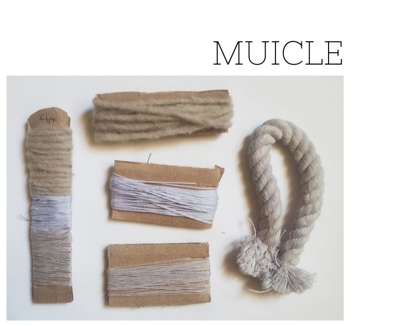 Mi Proyecto del curso: Teñido textil con pigmentos naturales 3
