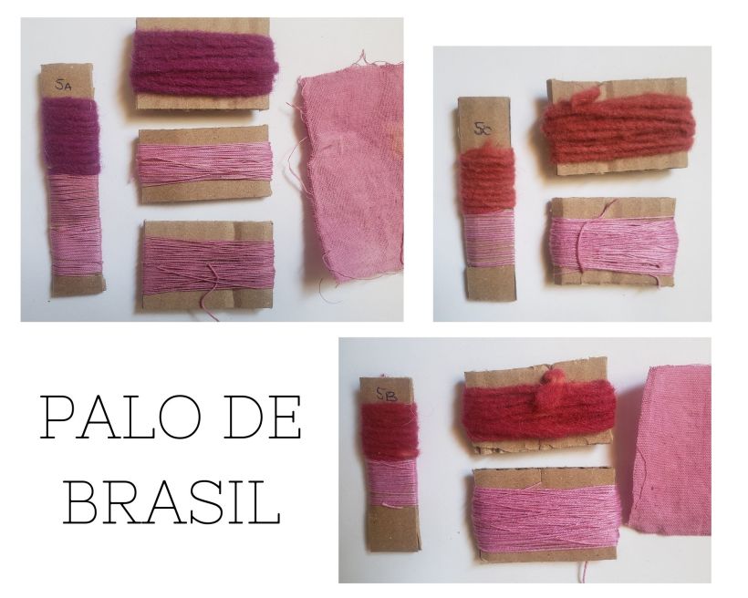 Mi Proyecto del curso: Teñido textil con pigmentos naturales 4