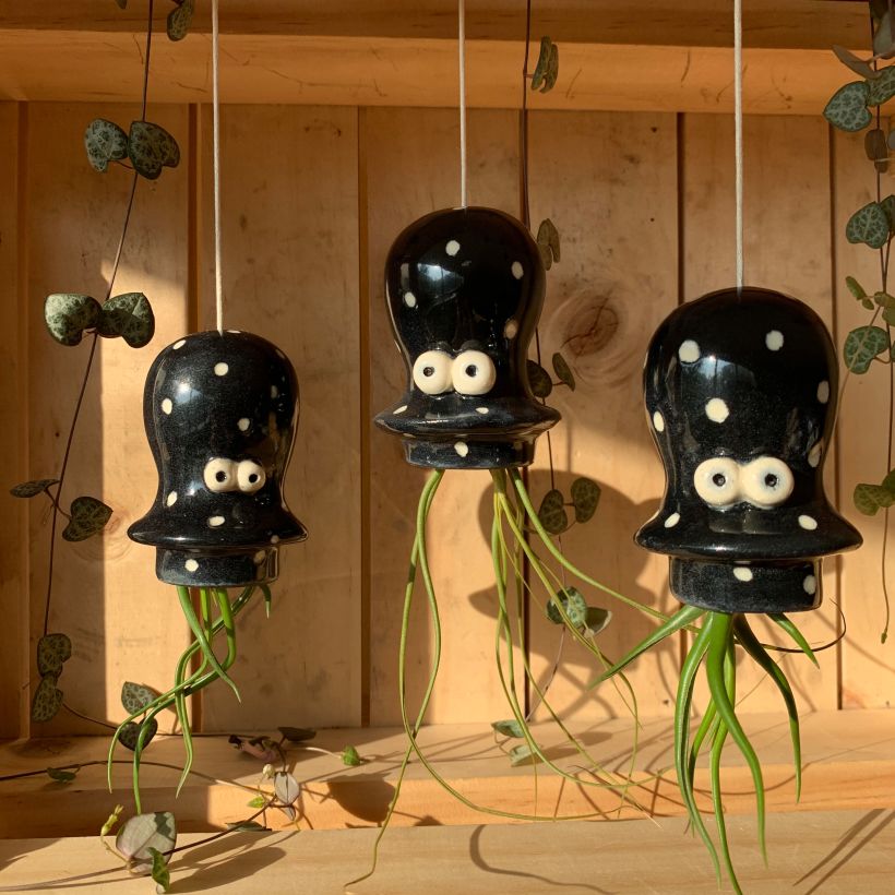 Pulpos Polka Dots terminados en negro con plantas de aire