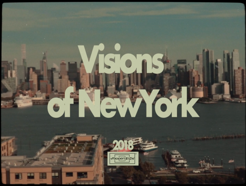 Visions of New York 6