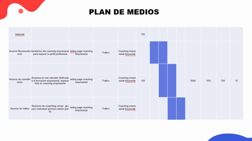 Mi Proyecto del curso: Desarrollo de un plan de medios digitales 7