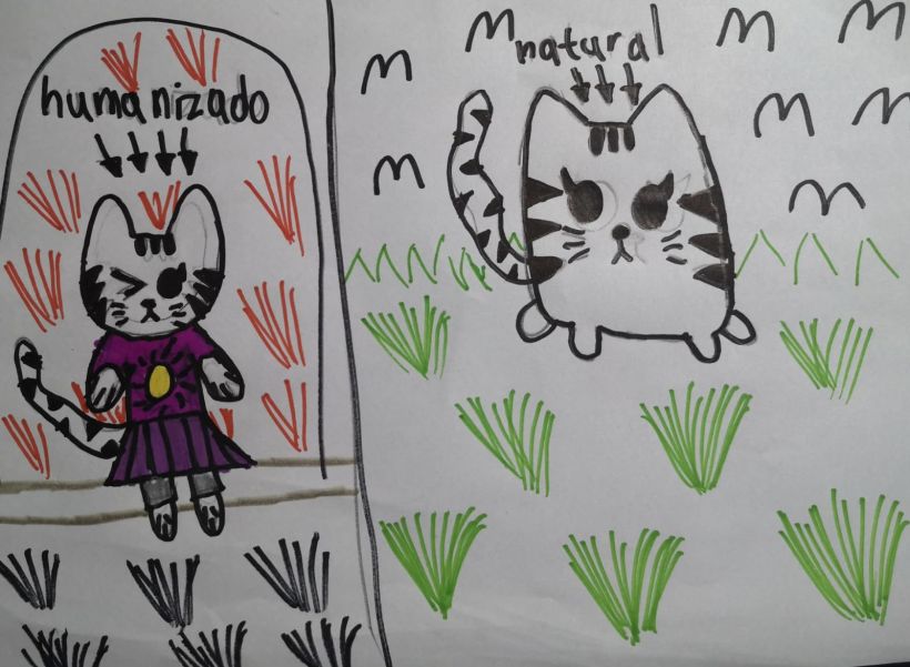 8 melhor ideia de Desenho de gato fácil  arte com gatos, desenhos de gatos,  gatos
