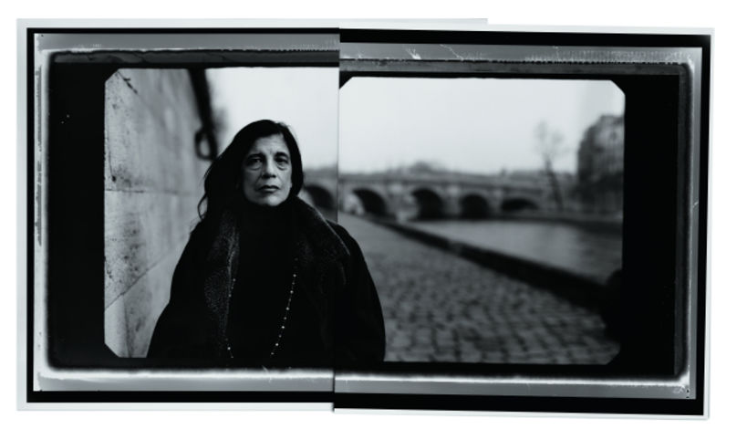 Susan Sontag photographed by Annie Leibovitz