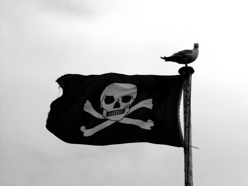 ¿Por qué todos los piratas utilizaban la misma bandera? 11