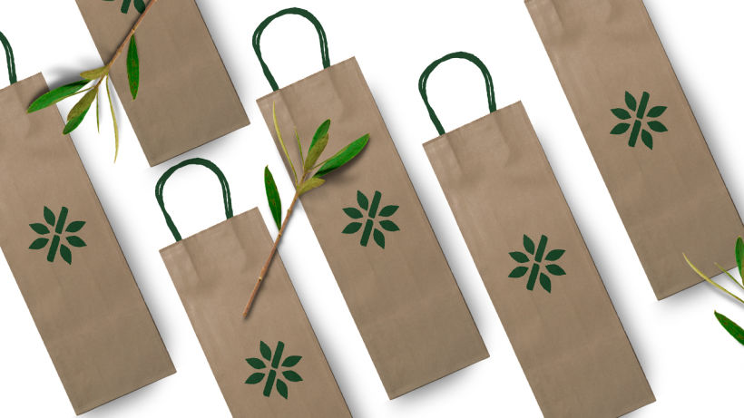 Green Bamboo Branding 5