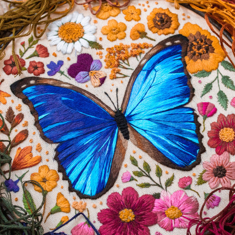 Blue Morpho Butterfly 0