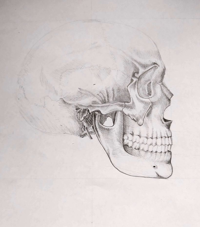 Mi Proyecto del curso: "Dibujo anatómico para principiantes". Un Vitruvio usando las proporciones que nos indicó ZURSOIF 5