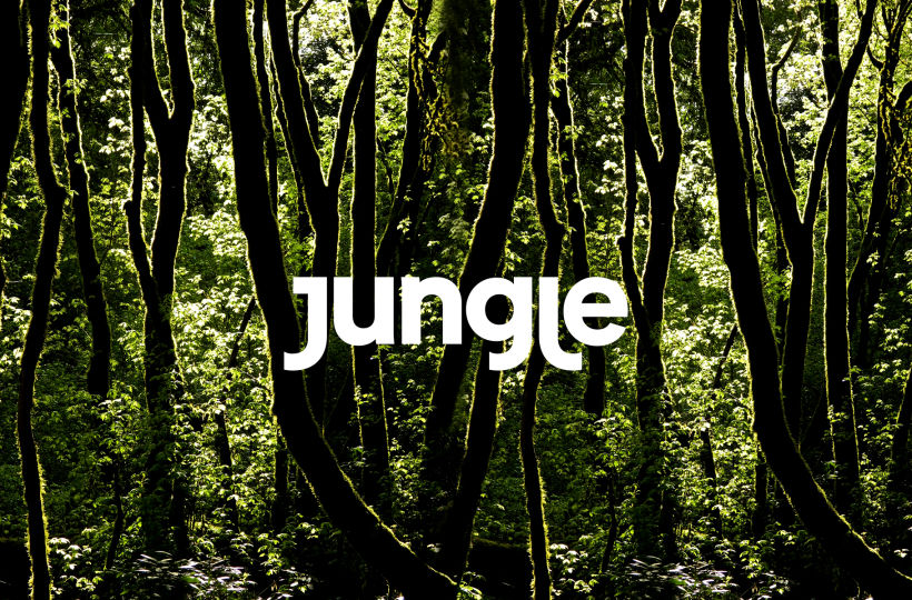 Qual é o correto: on the jungle ou in the jungle?