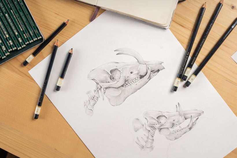 Amazing Pencil Drawings From the Talented Dino Tomic! | artFido