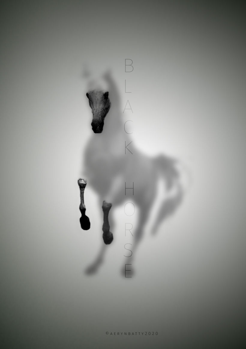 Black Horse 0