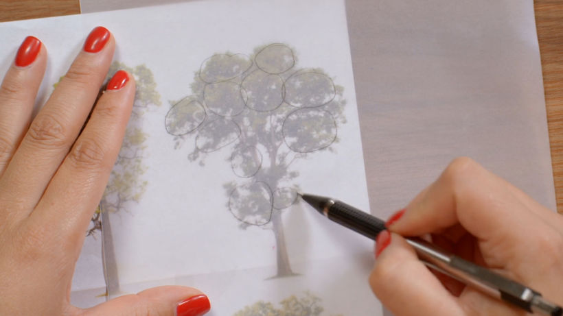 Tutorial Ilustración botánica: cómo dibujar un árbol 3