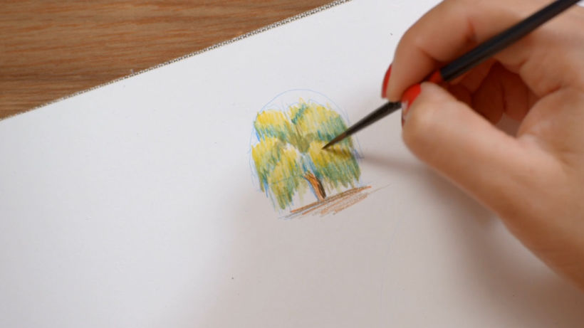 Tutorial Ilustración botánica: cómo dibujar un árbol 7