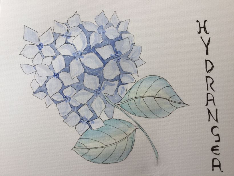 My project in Negative Watercolor Painting for Botanical Illustration course 0
