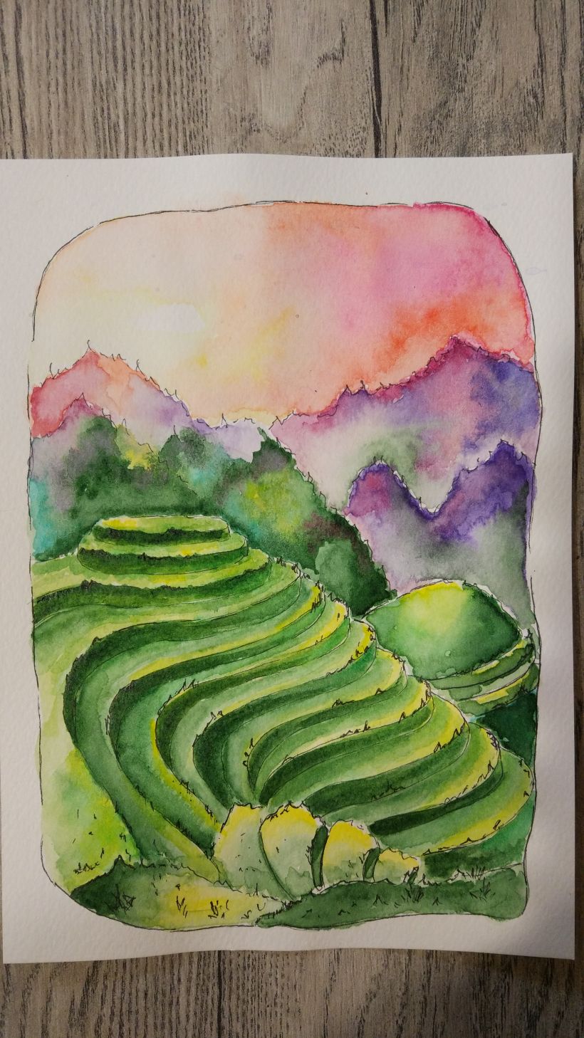 Watercolor sketch, Rise fields 0