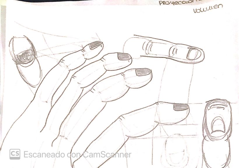 Mi Proyecto del curso: Dibujo anatómico para principiantes 9
