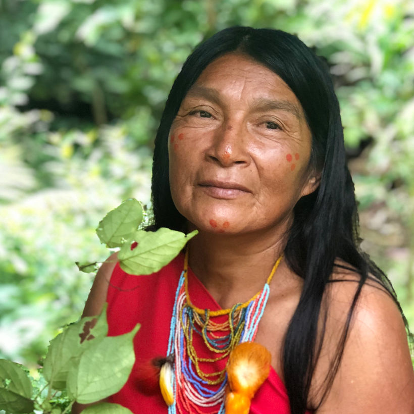 Nuwa - Infusiones Amazónicas 5