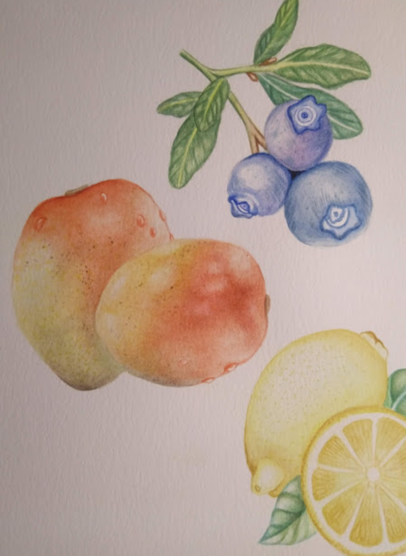 Aprendiendo a Ilustrar Frutas 0