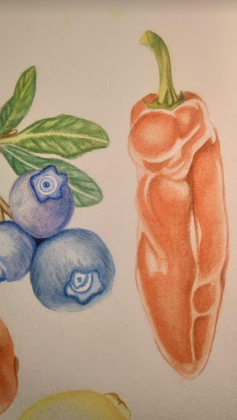 Aprendiendo a Ilustrar Frutas 1