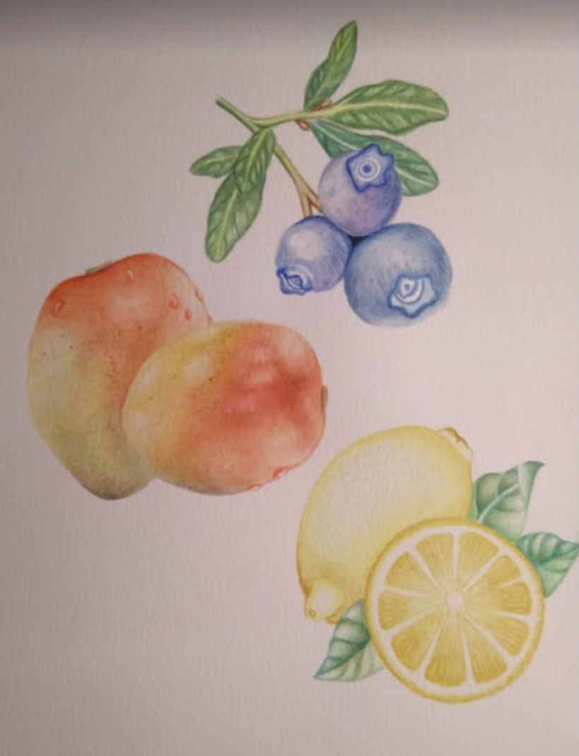 Aprendiendo a Ilustrar Frutas 2