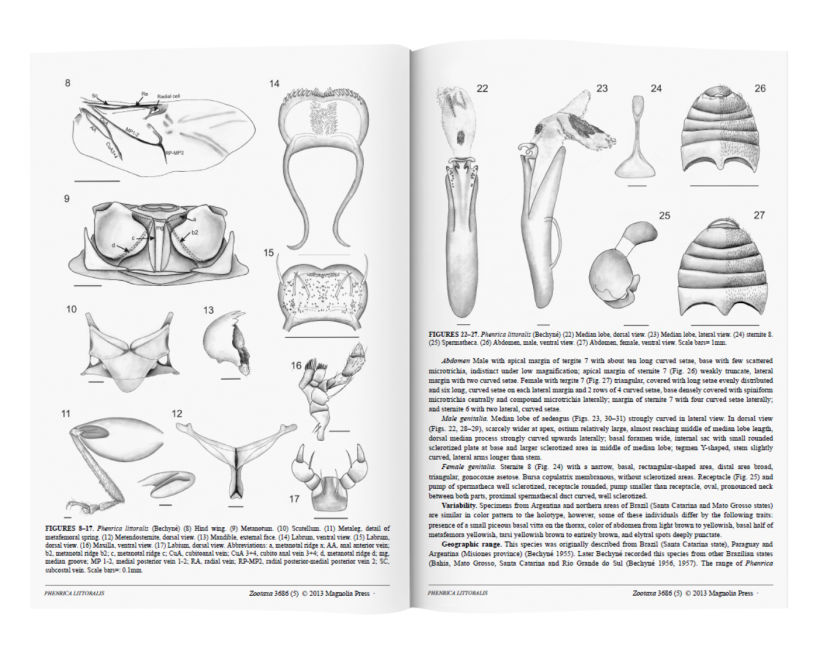 Publicación en revista Zootaxa Vol 3686 (5):343-355.