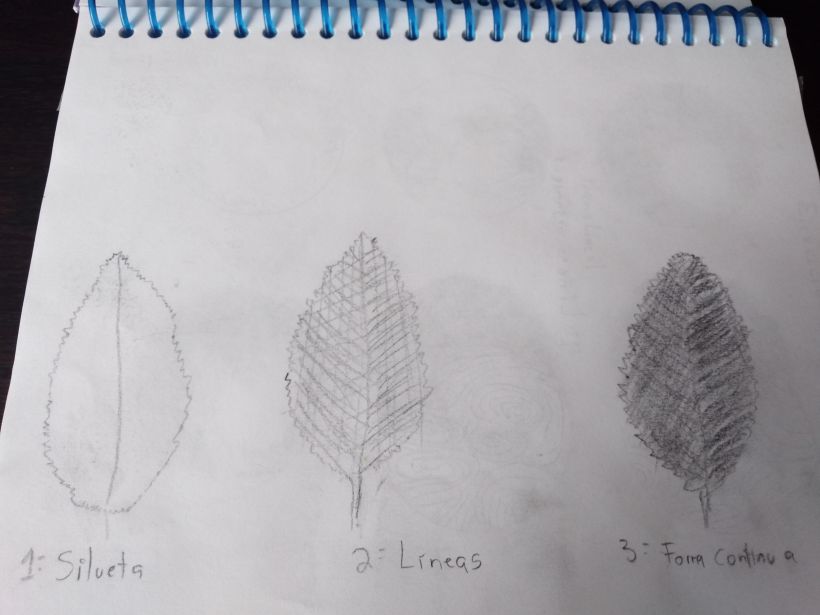 Mi Proyecto del curso: Cuaderno botánico en acuarela 1