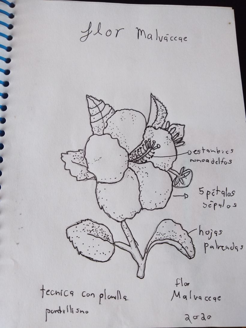 Mi Proyecto del curso: Cuaderno botánico en acuarela 6