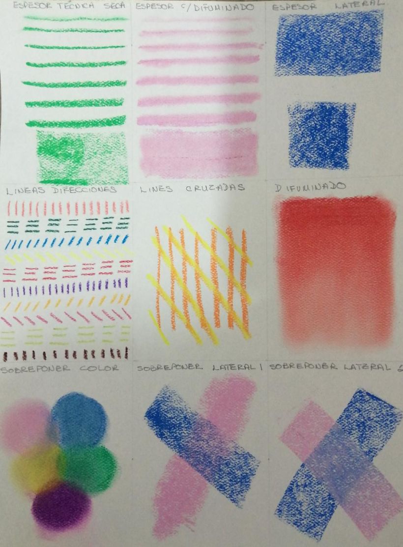 Mi Proyecto del curso: Ilustración con pastel y lápices de colores 1