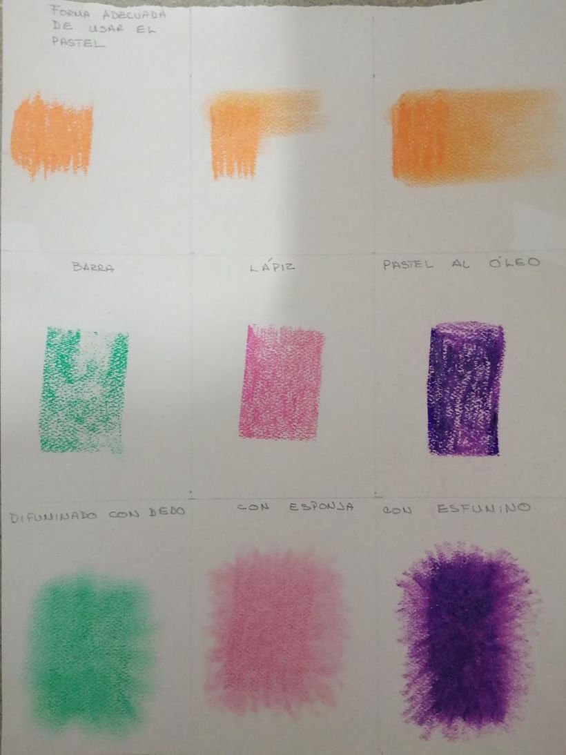 Mi Proyecto del curso: Ilustración con pastel y lápices de colores 6
