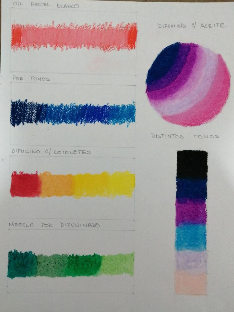 Mi Proyecto del curso: Ilustración con pastel y lápices de colores 11