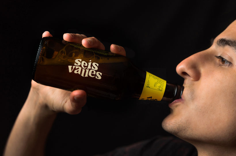 Seis Valles - Cerveza Artesanal 6