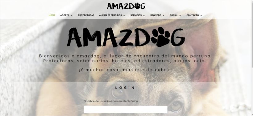 Web centrada en potenciar la adopción, reducir el abandono y ayudar a las asociaciones de animales  https://amazdog.com/ 