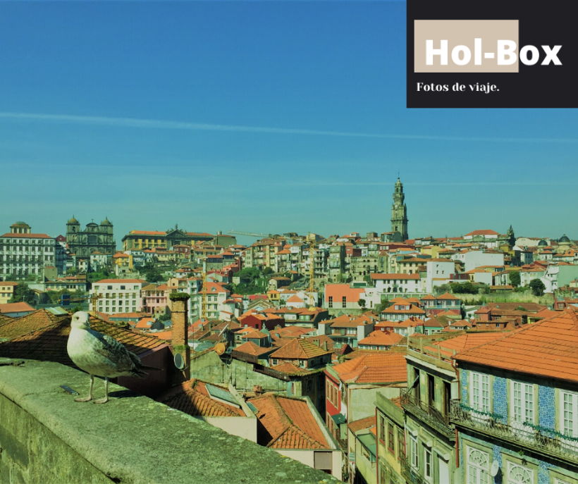 Holbox, Travel Blog 1