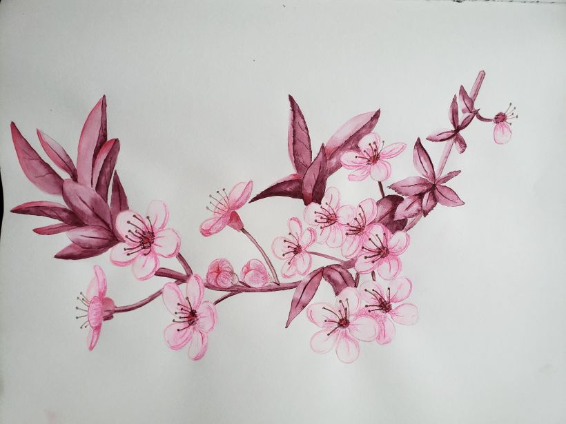 Ilustración flor de cerezo japonés 