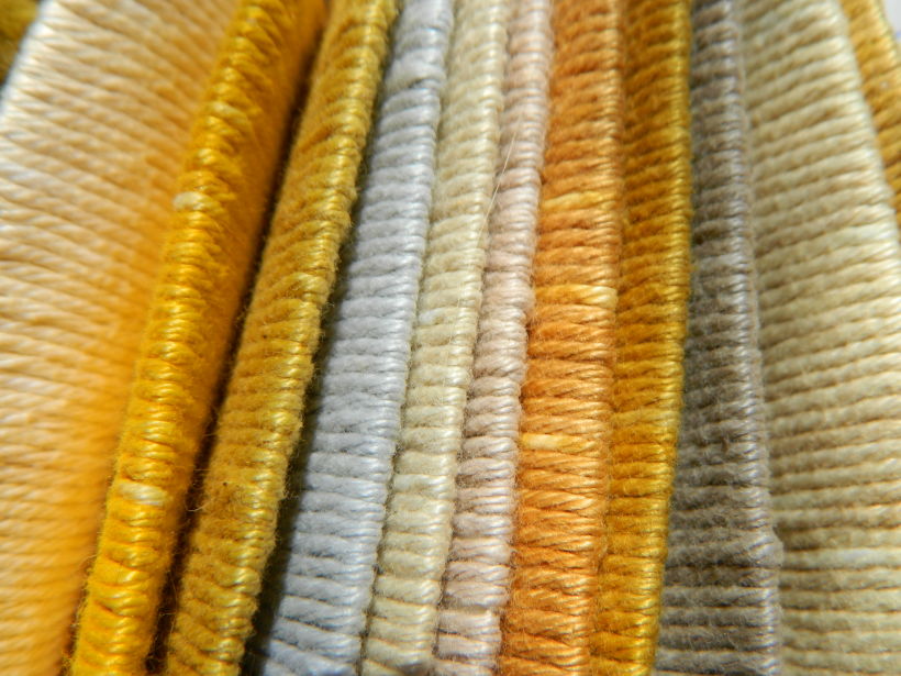 Mi Proyecto del curso: Teñido textil con pigmentos naturales 10