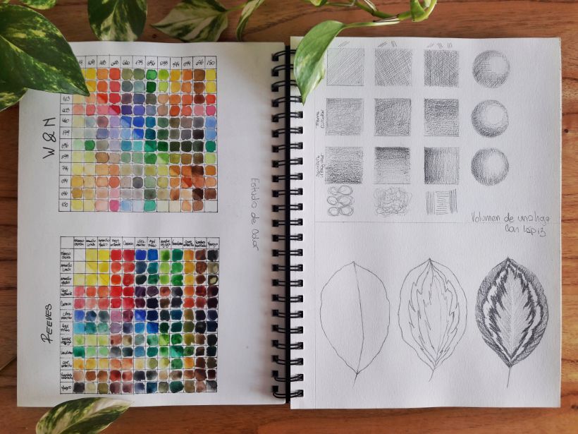 Mi Proyecto del curso: Cuaderno botánico en acuarela 2