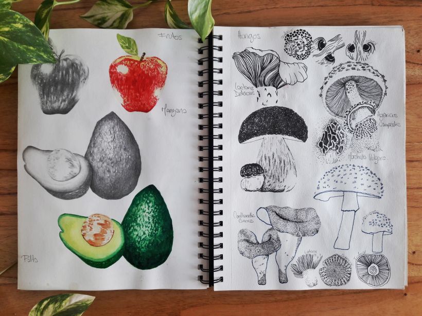 Mi Proyecto del curso: Cuaderno botánico en acuarela 4