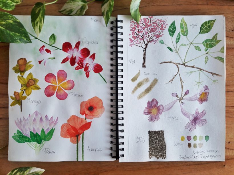 Mi Proyecto del curso: Cuaderno botánico en acuarela 5