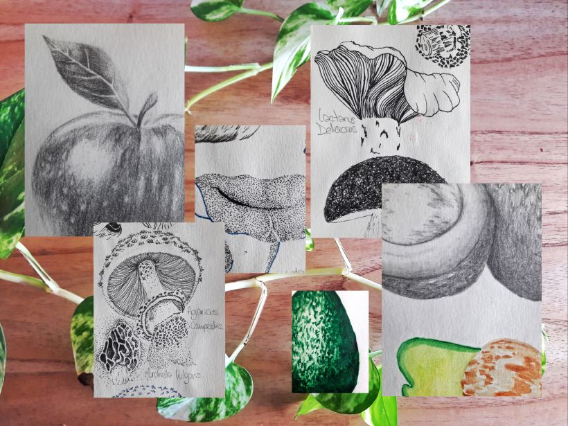 Mi Proyecto del curso: Cuaderno botánico en acuarela 9