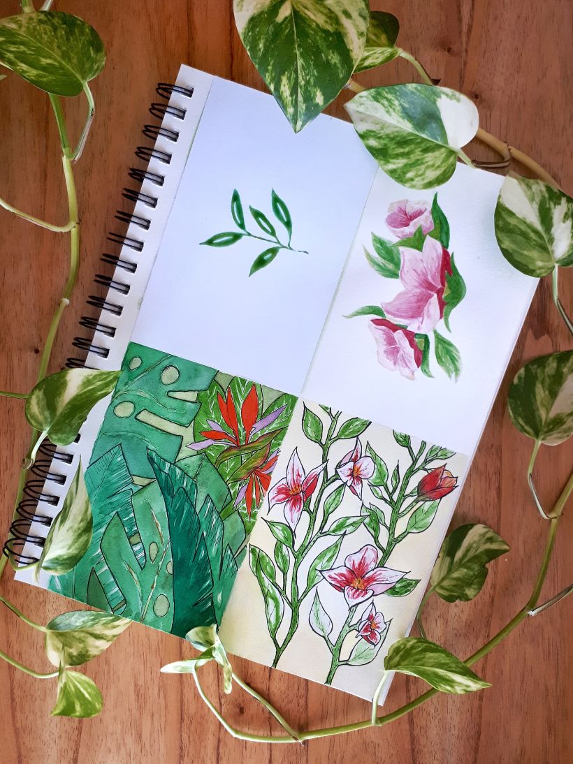 Mi Proyecto del curso: Cuaderno botánico en acuarela 11