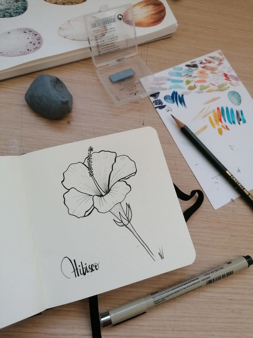 dibujos de flores