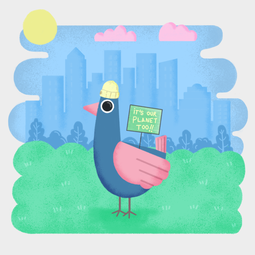 Urban pigeon activism 