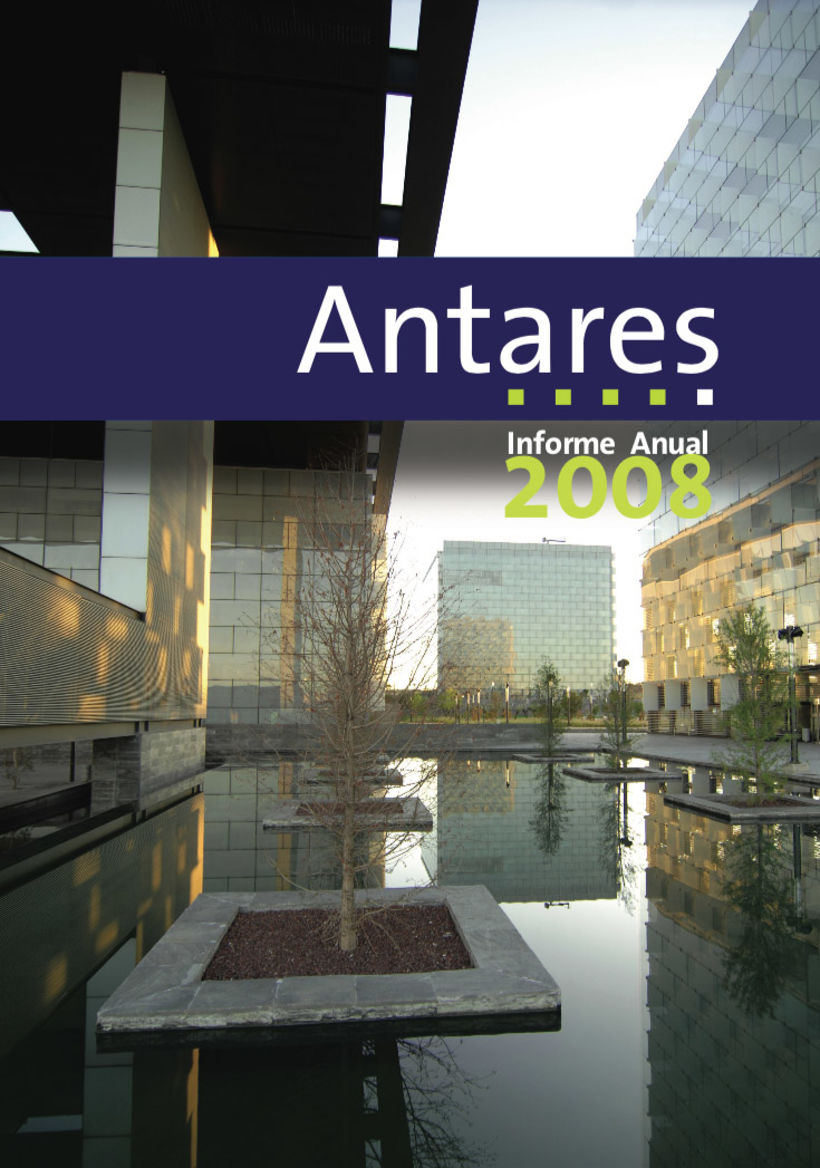 Memoria de cuentas anuales de Antares, Altair, Pleyade y Casiopea (Telefónica) 2