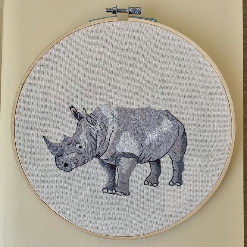 (10) Rinoceronte concluído