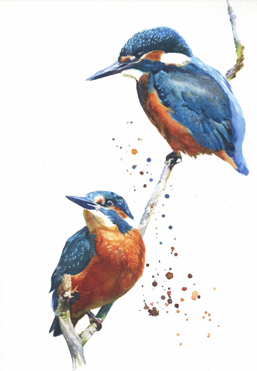 Kingfishers on a branch 0