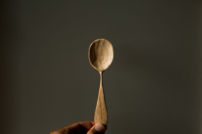Mi Proyecto del curso: Talla de cucharas en madera 0